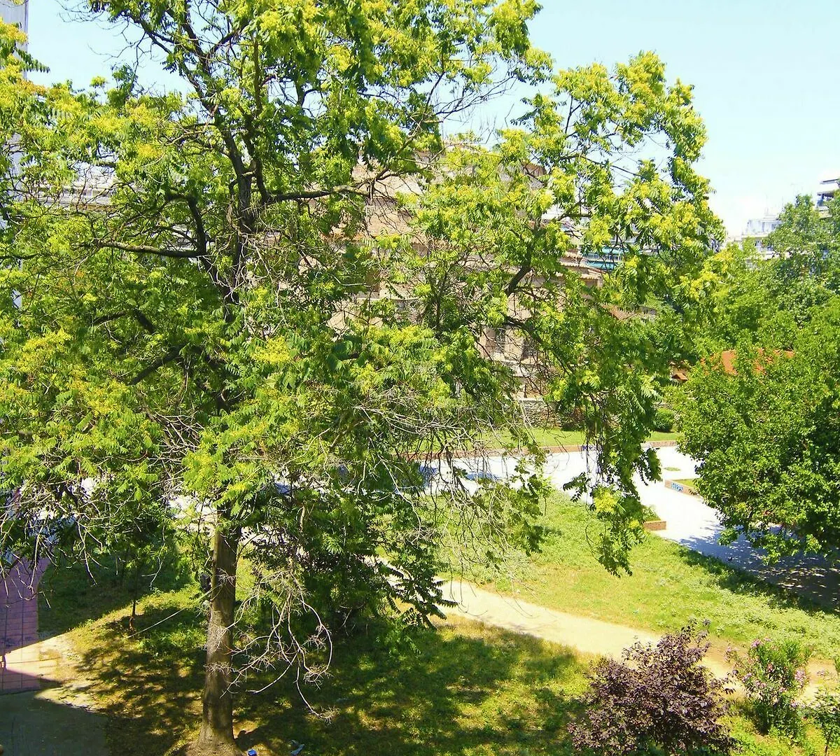 Rent Rooms Thessaloniki